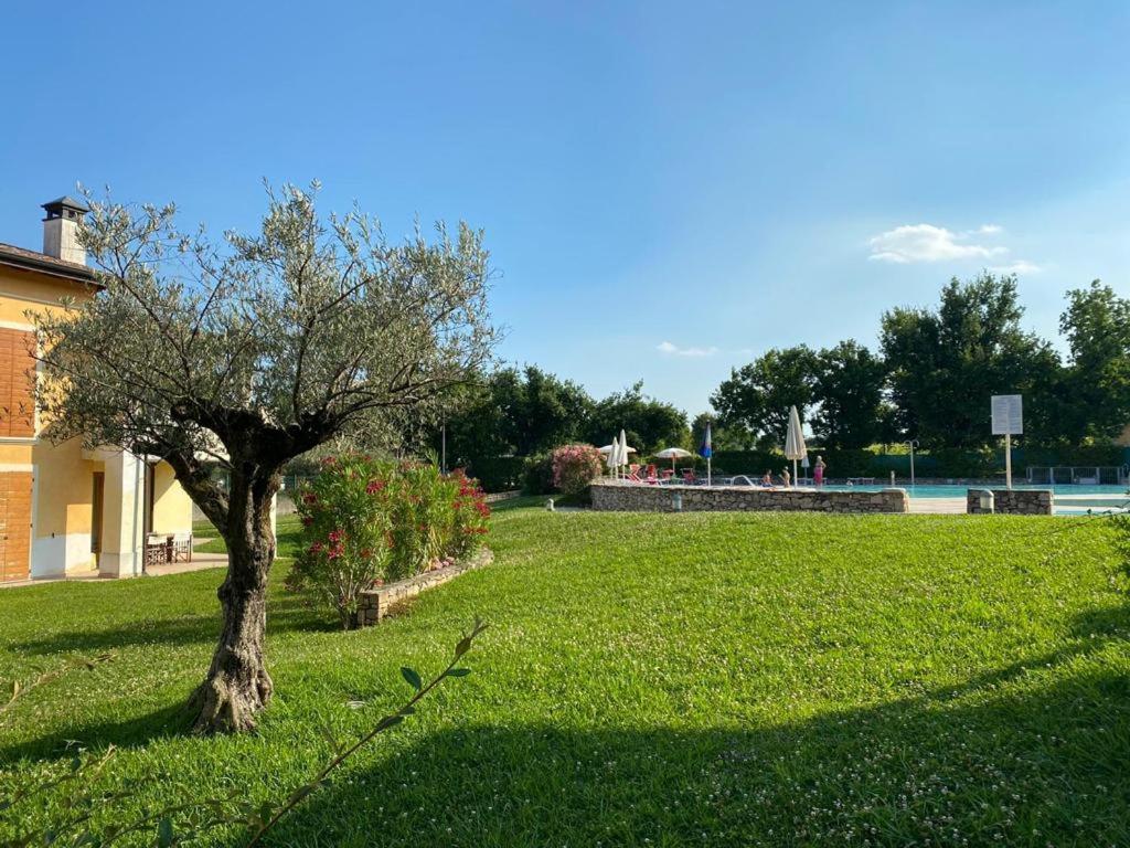 The Flowers - Apartments With Private Garden In Residence With Pool مانربا ديل جاردا المظهر الخارجي الصورة
